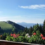 בקתה Almchalet Schuster *