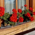 Almchalet Schuster