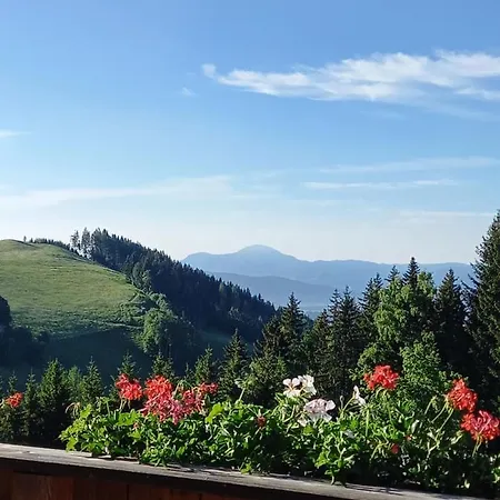 Horská chata Almchalet Schuster *