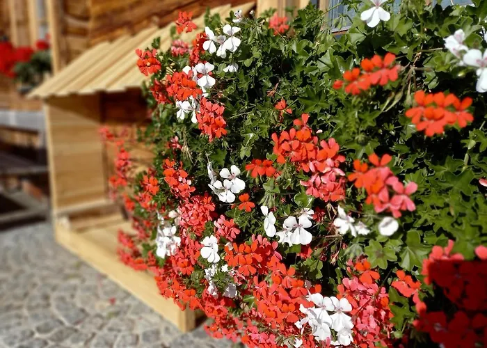 Alpesi faház Almchalet Schuster